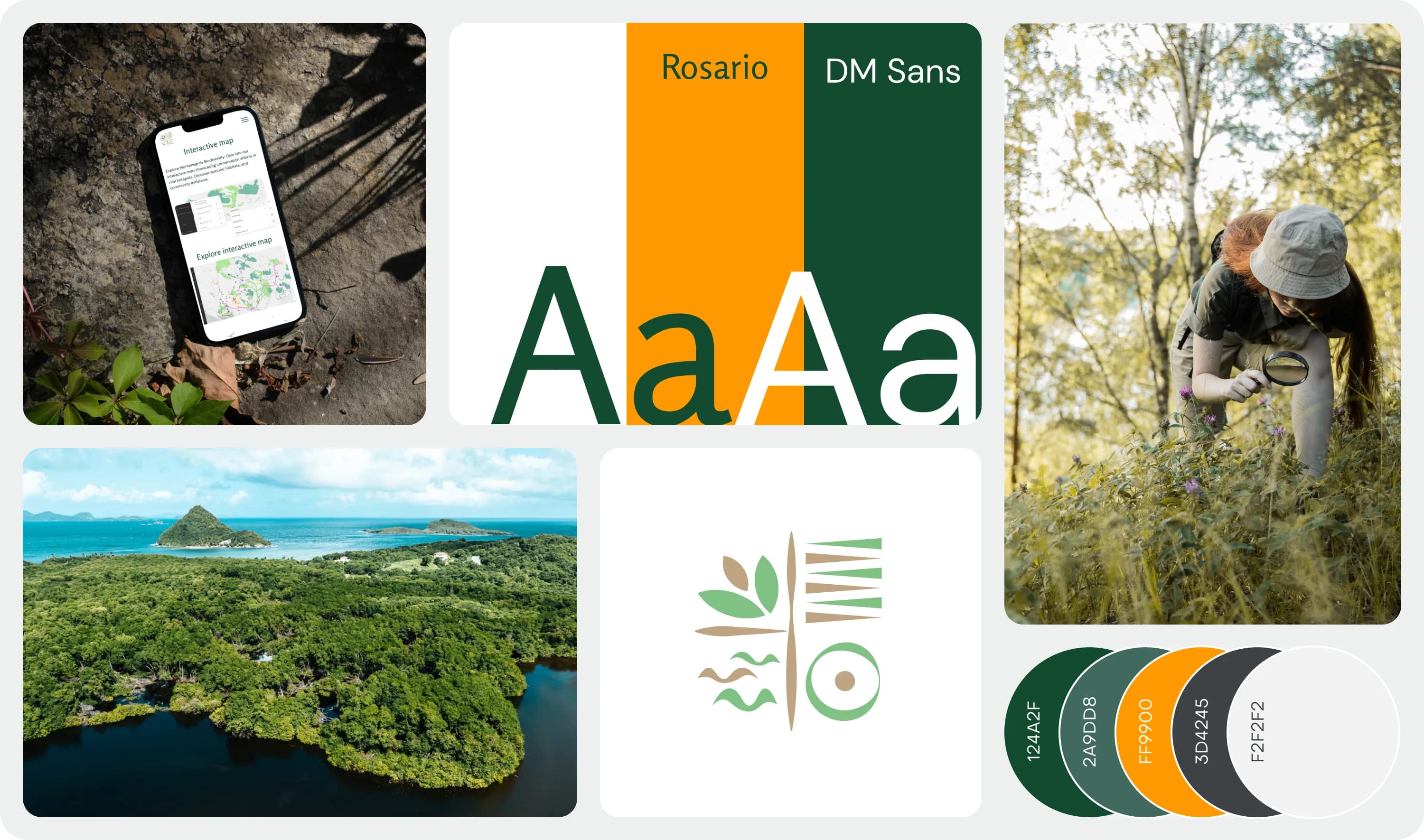 Biodiversity of Montenegro brand board: logo, green palette, Rosario and DM Sans type, and landscape photography