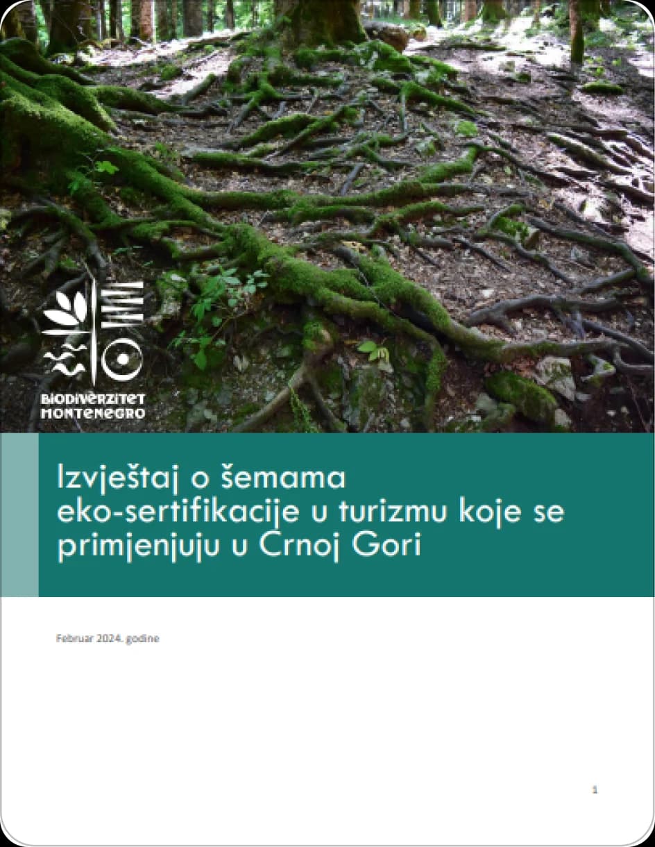Project publication cover showing Montenegro's forest floor