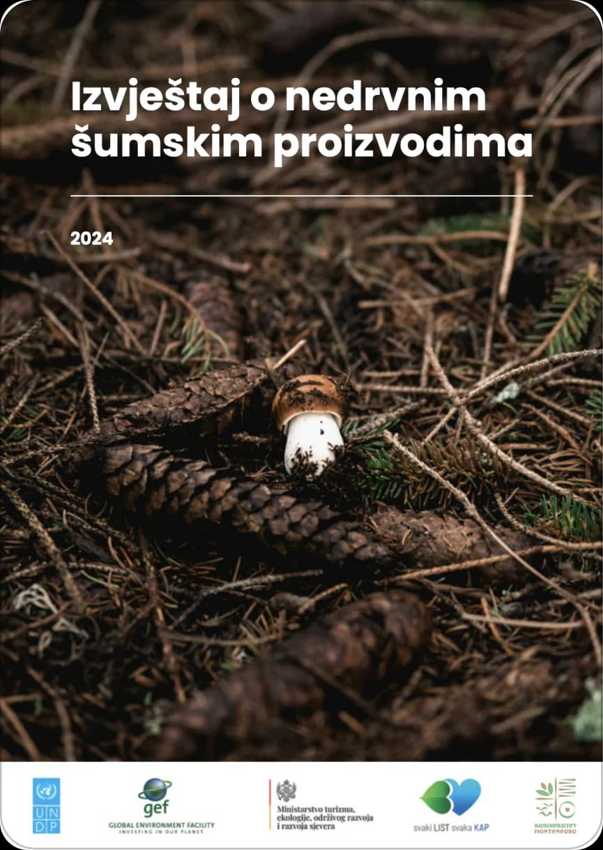 Report on non-timber forest products, 2024